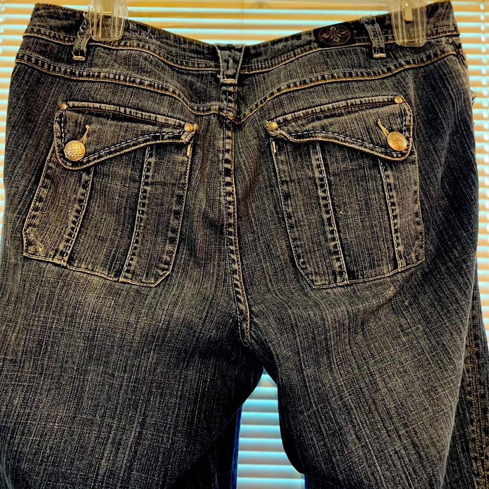 Lane Bryant Jeans, size 14